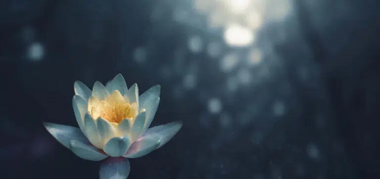 zoltan-tasi-698712-unsplash