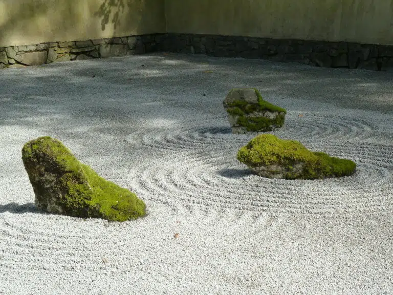 SuzanneRoadyRoss a 768x576