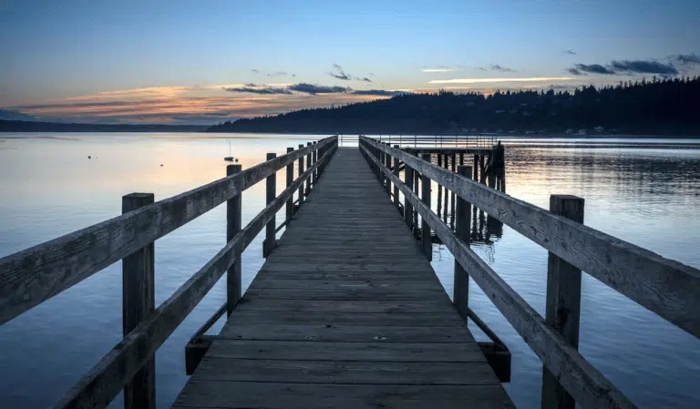 eileen magnuson 768x449