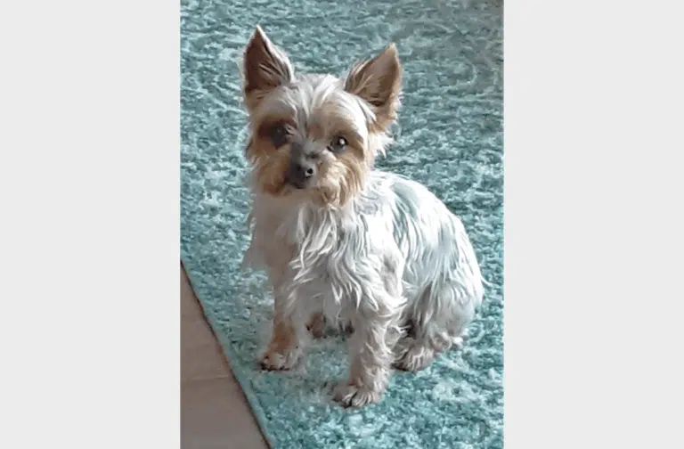 KateHollister ed 768x504