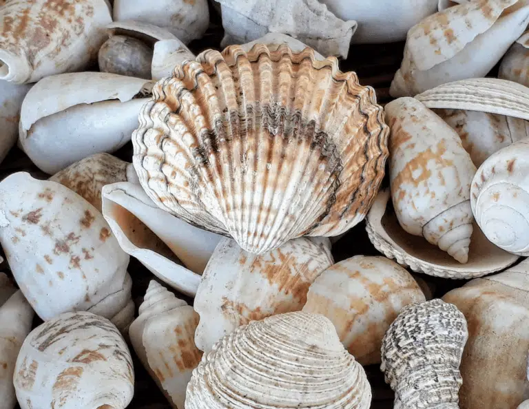 Angela Calogero unsplash.comphotos6RTn6HZD RI 768x594