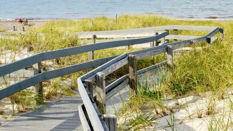 DebbyMcLister kg1 768x433