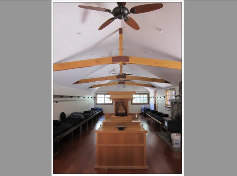 Marv Mr Baldy Zendo 768x571