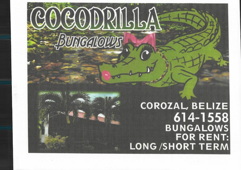 Scan 20211029 9 768x543