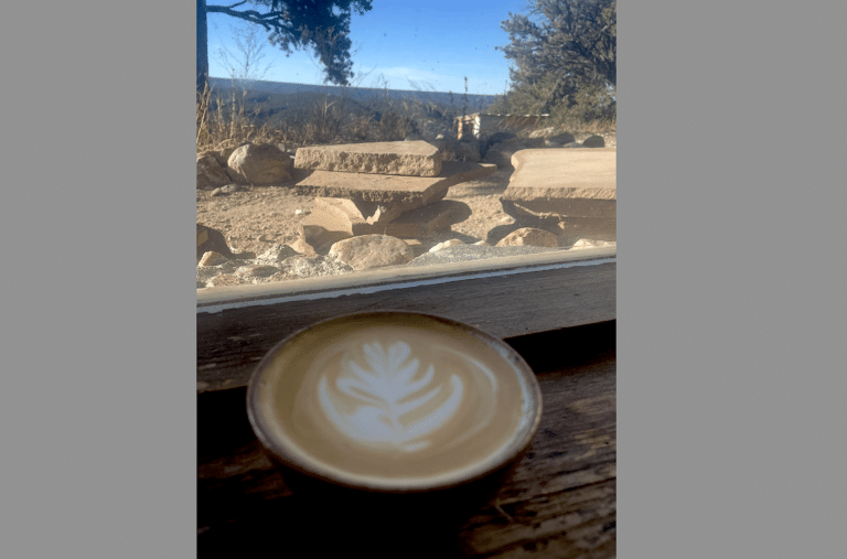 Virginia Woodruff 768x507