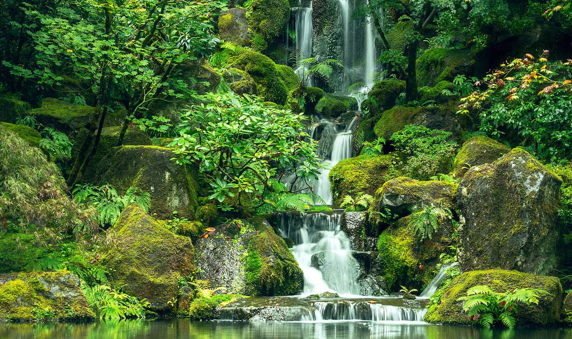 featured-image-1765836054