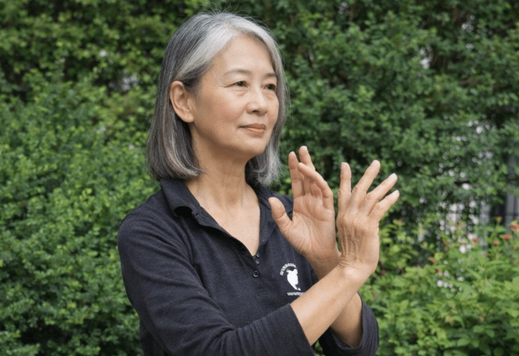 T’ai Chi Chih for Busy Adults: A Gentle Path to Daily Calm
