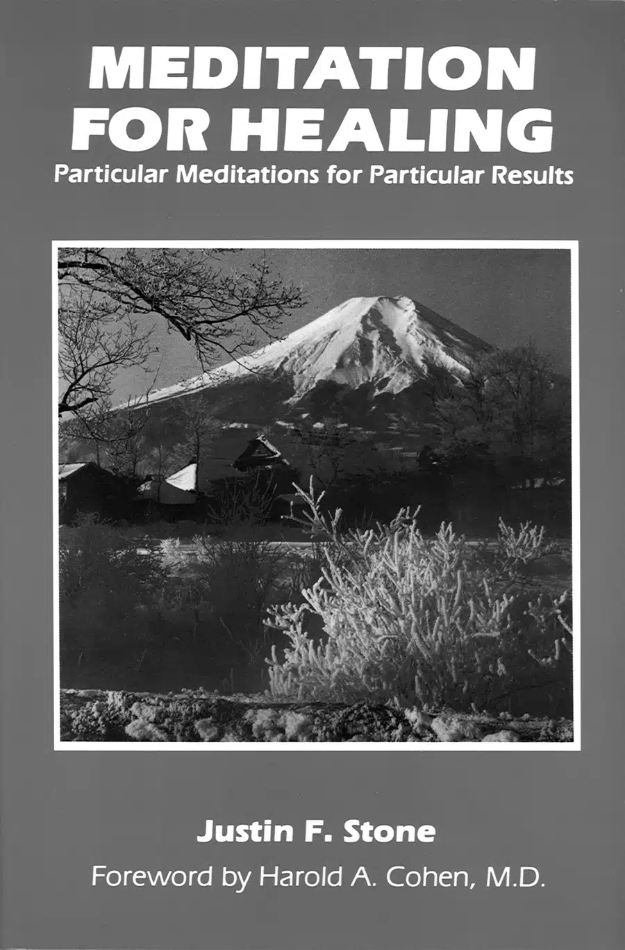 03.MedHealing
