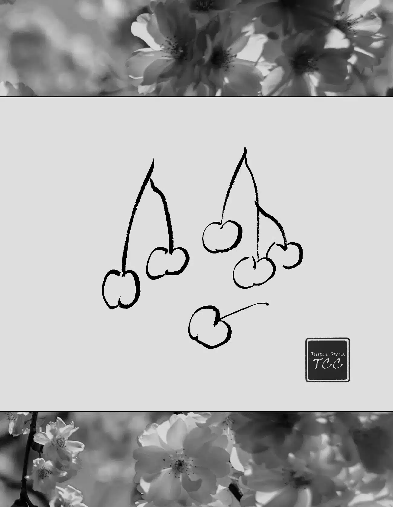 PAGER HEADER: TCC Research Group