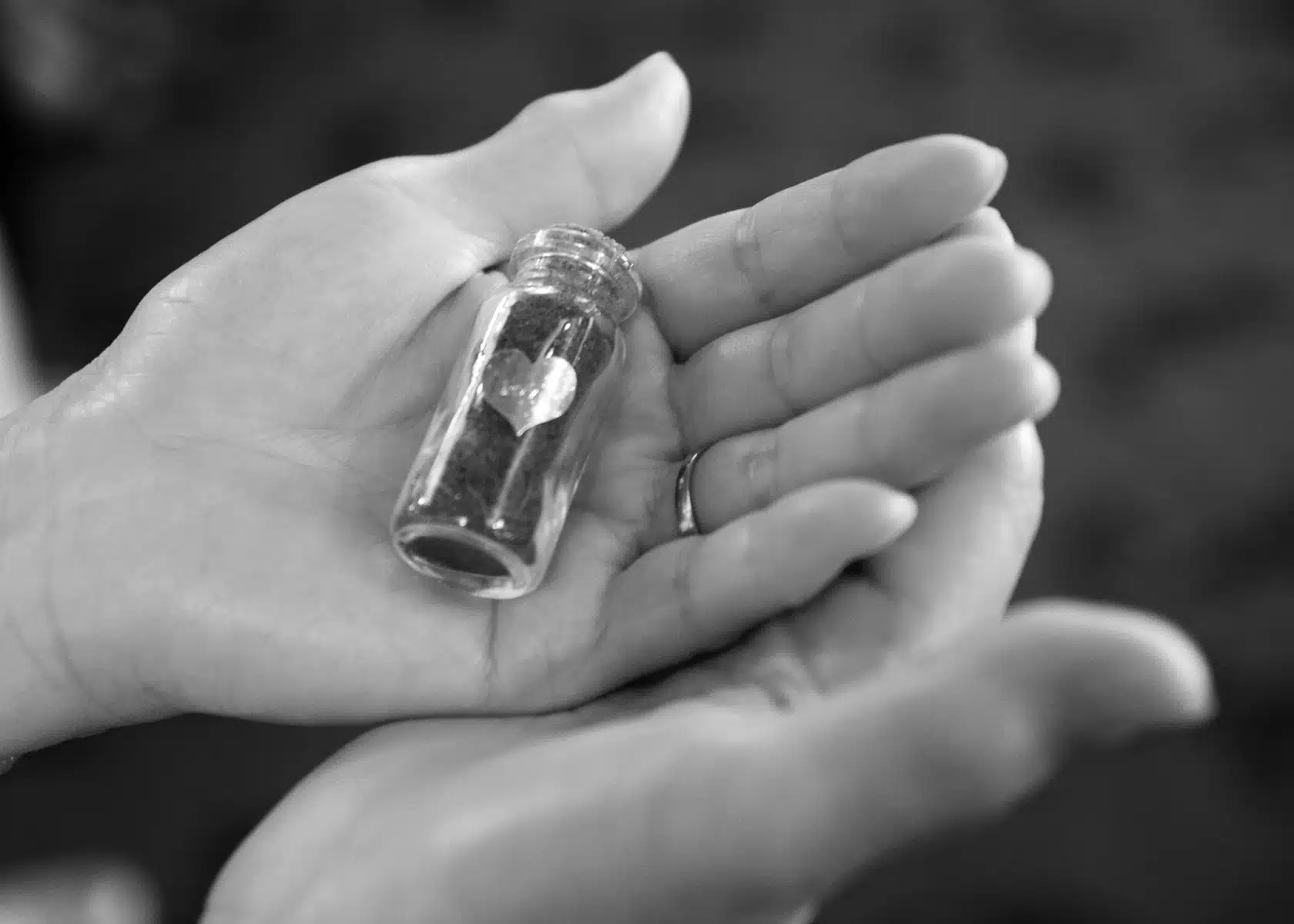 The Substance Of Softness