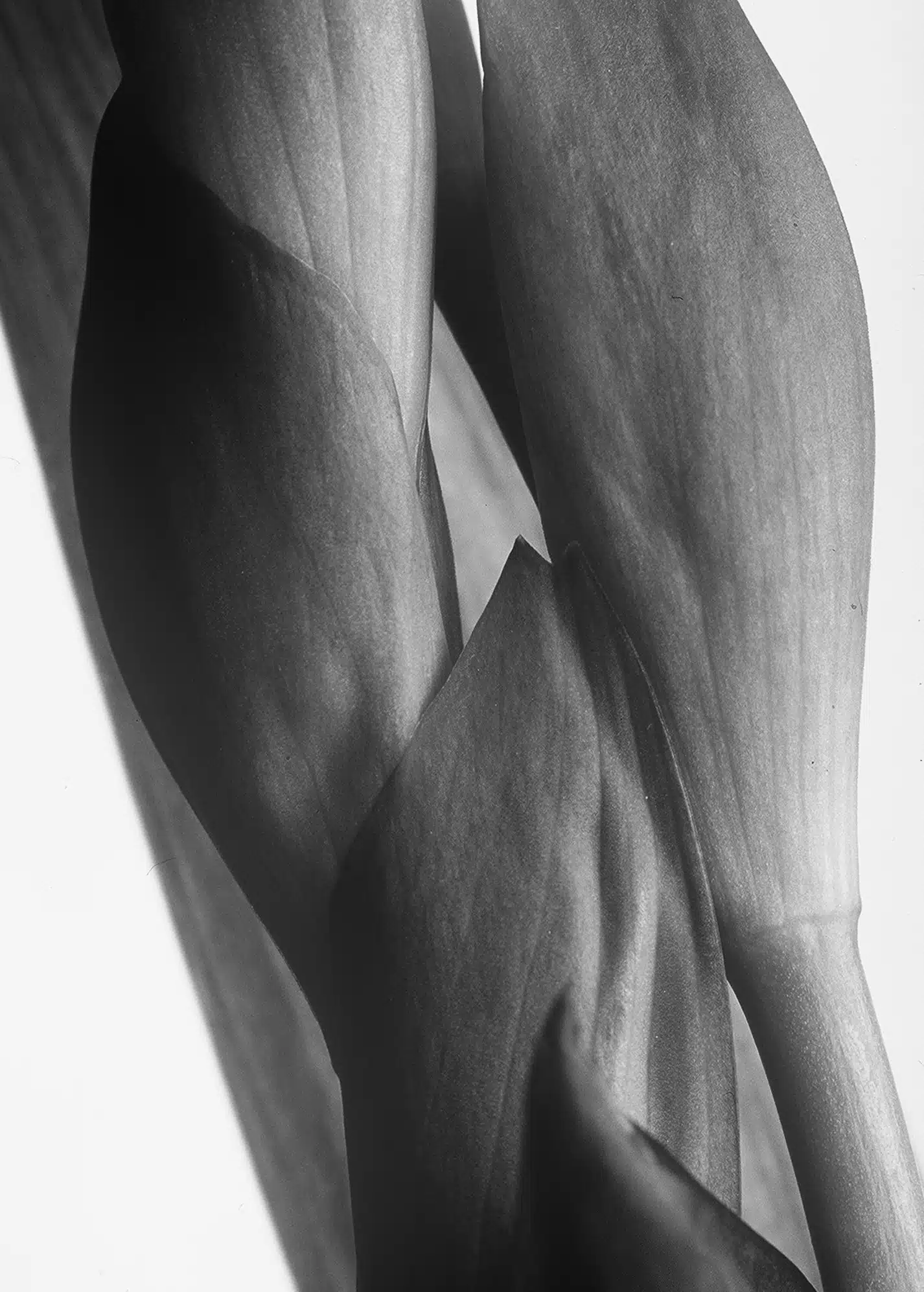 CLARIFYING, CLARIFYING