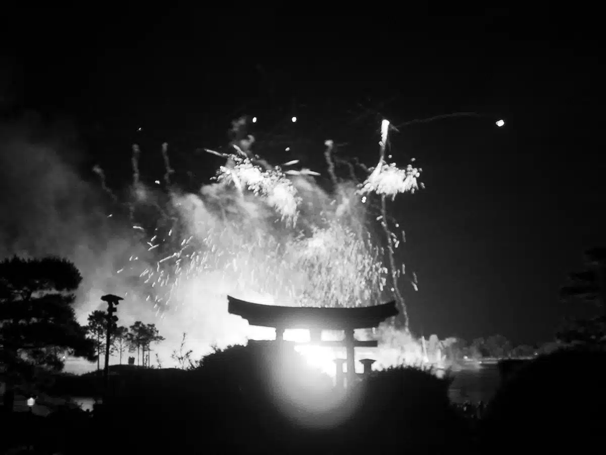 What Will Be Your Possibilities & Opportunities In 2010?