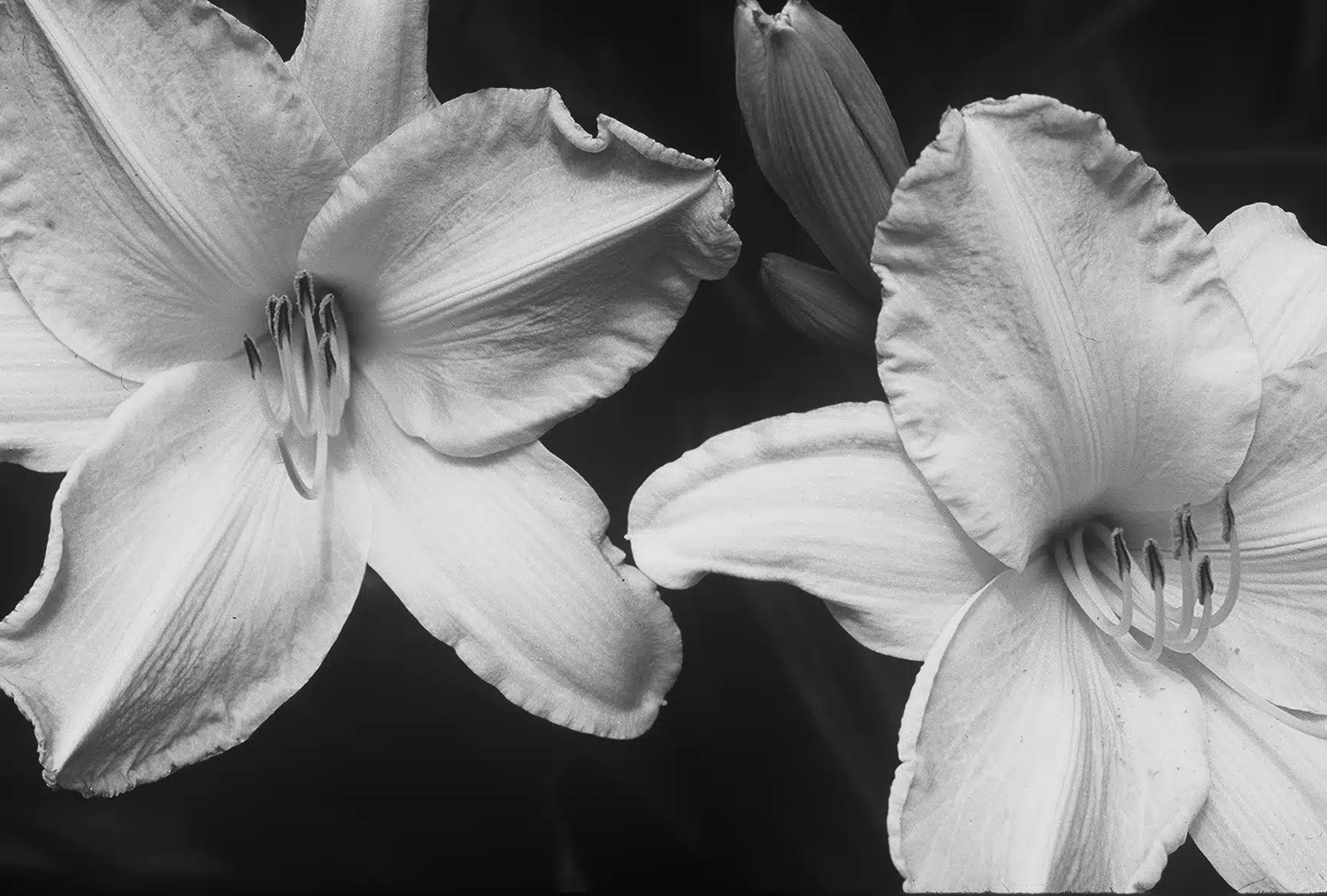 AWARENESS, CIRCULARITY, SOFTNESS & CONTINUITY