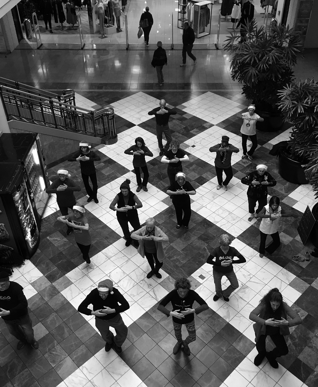 TCC Style Flash Mob, Just Because