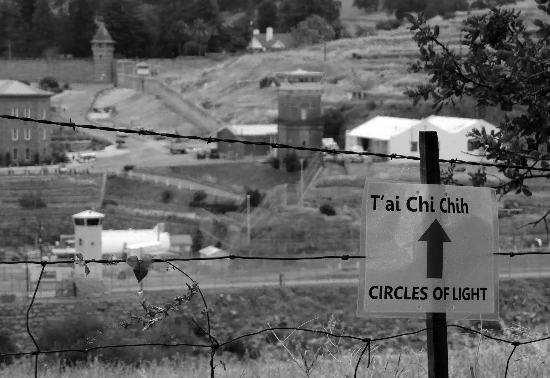 Don’t Forget, TCC Is A Moving Meditation